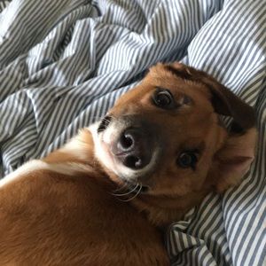 Meet your Posher, Travis